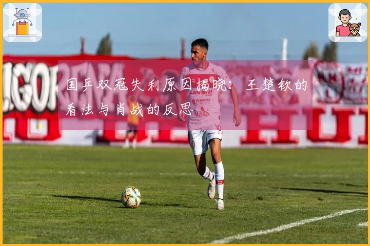 国乒双冠失利原因揭晓：王楚钦的看法与肖战的反思