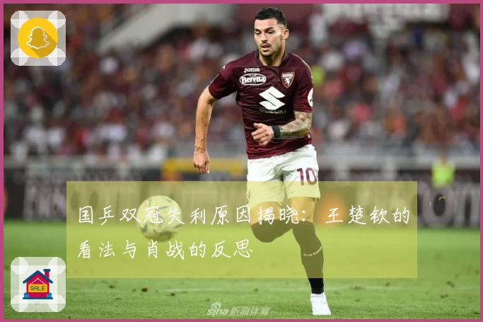 国乒双冠失利原因揭晓：王楚钦的看法与肖战的反思